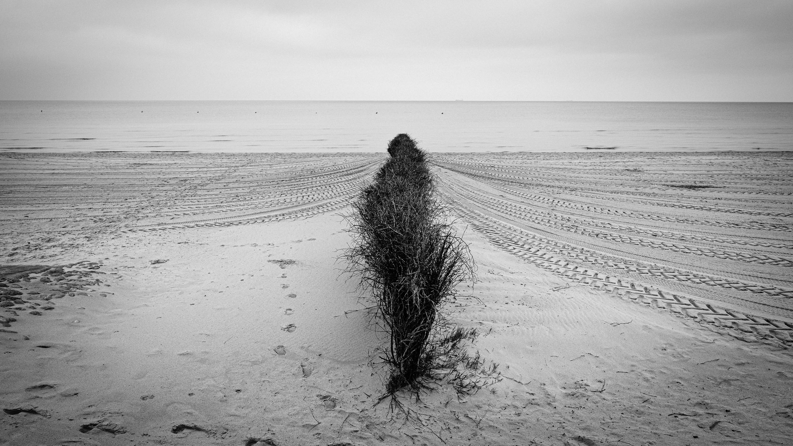 Cuxhaven-Duhnen | 2019
