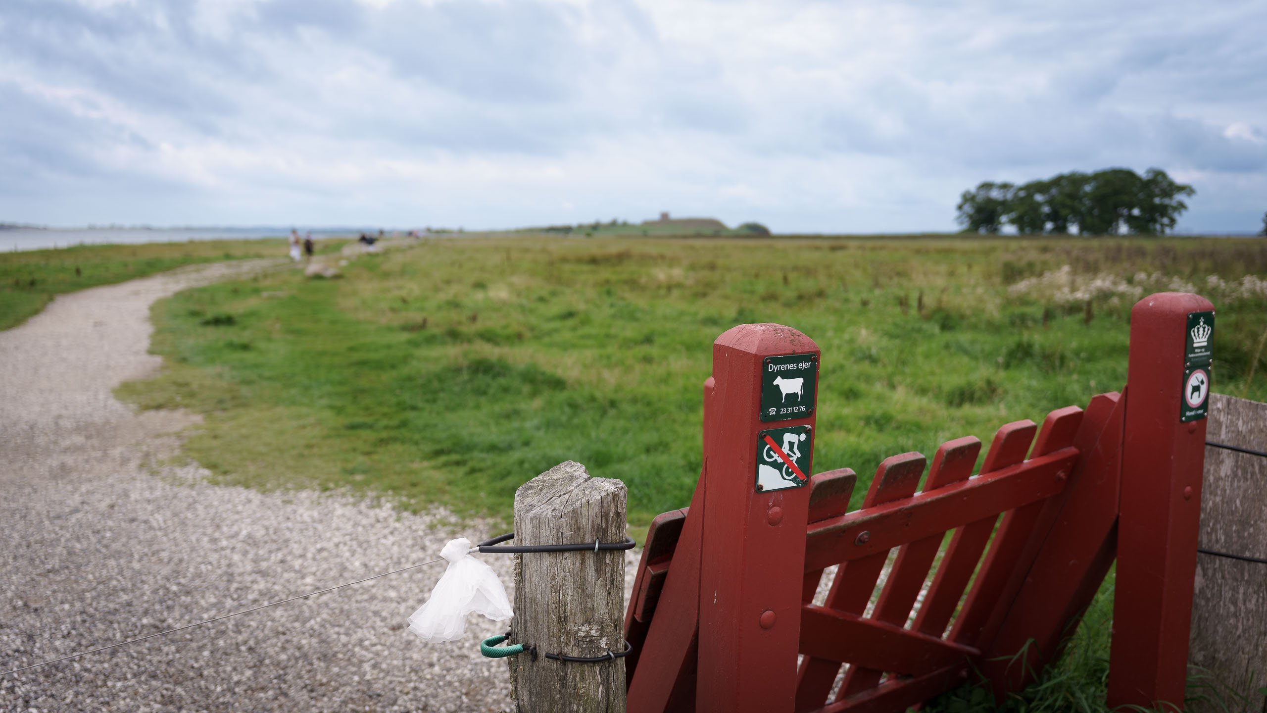 No Bikes auf dem Weg zur Kalø Slotsruin.