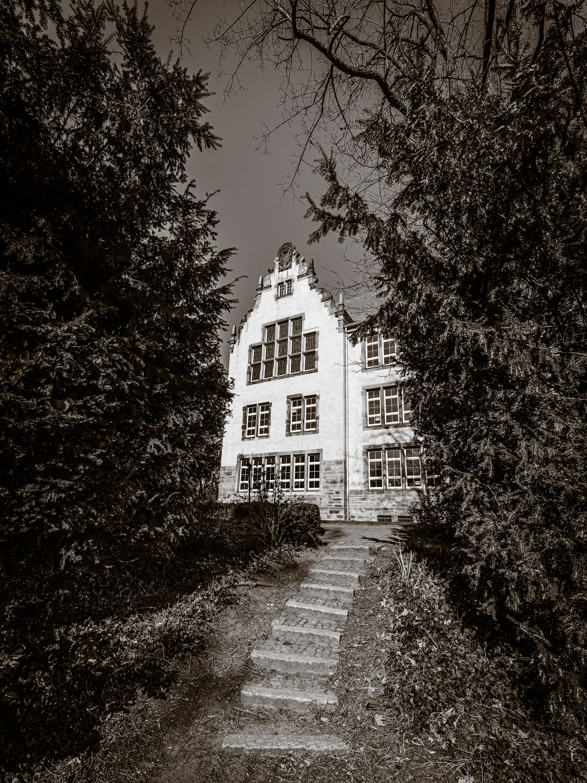 Albert-Schweitzer-Gymnasium