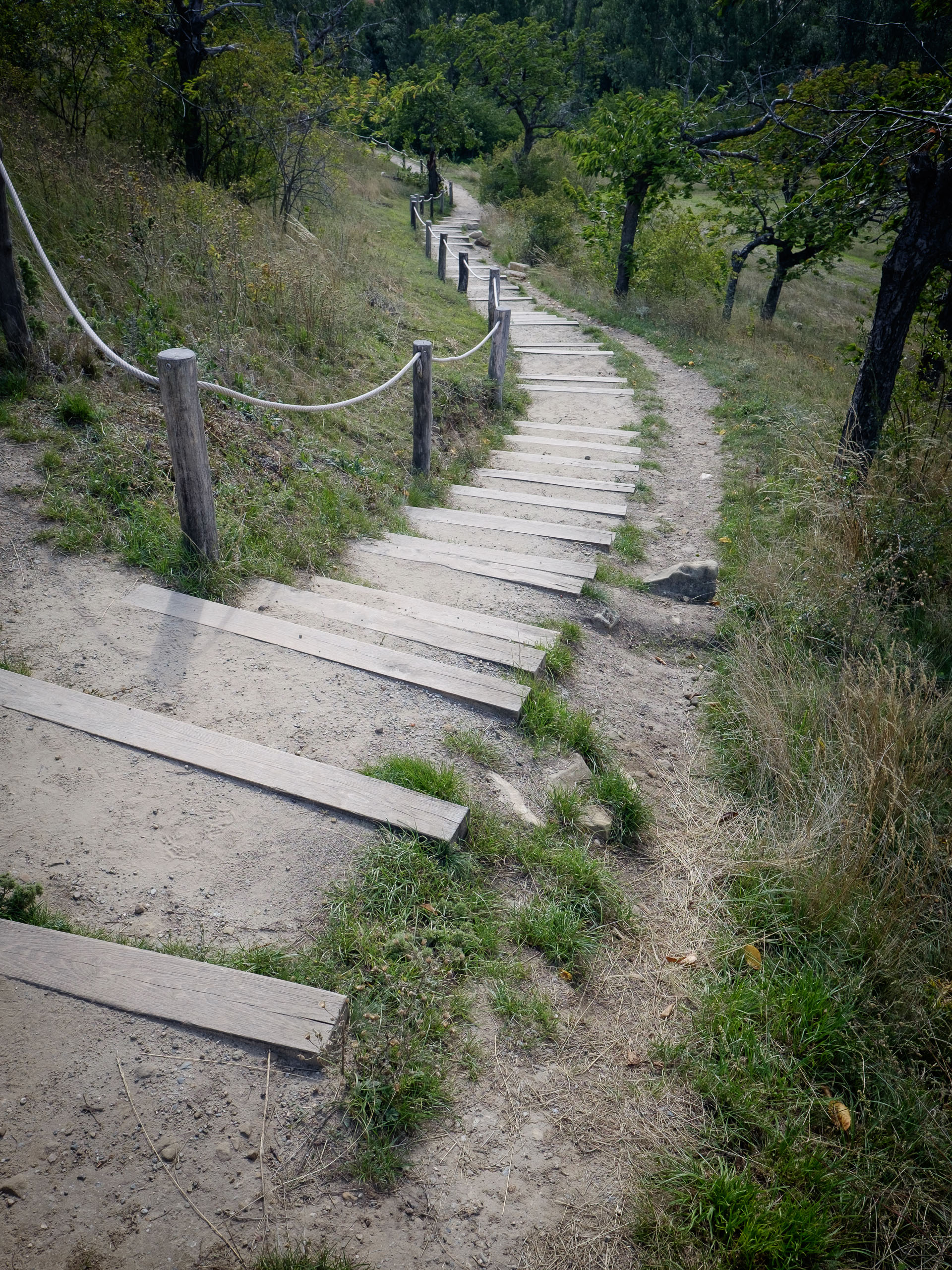 Teufelsmauer-Stieg an den Mittelsteinen