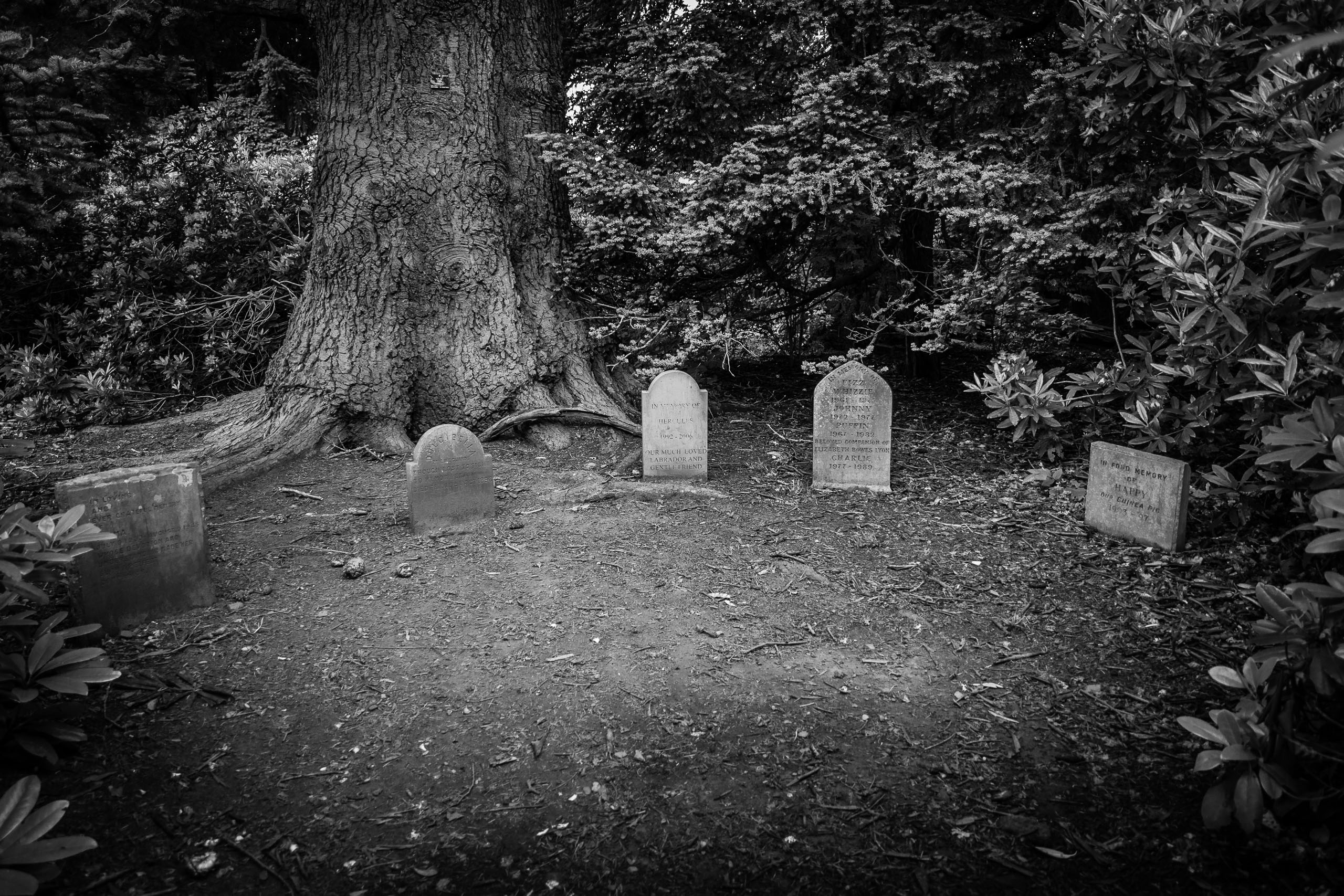 Hundefriedhof - Glamis Castle
