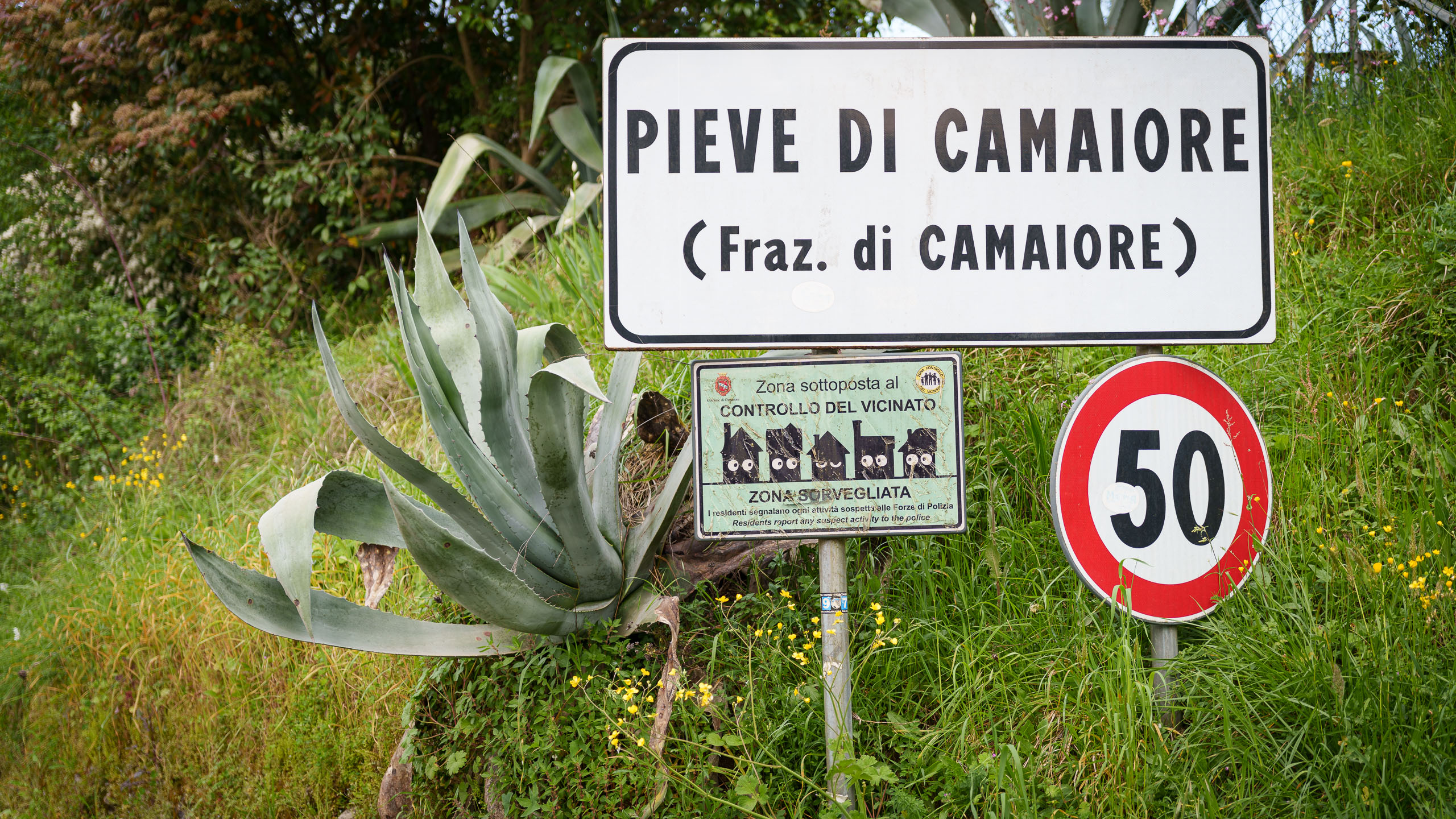 Nachbarschaftswache in Camaiore.