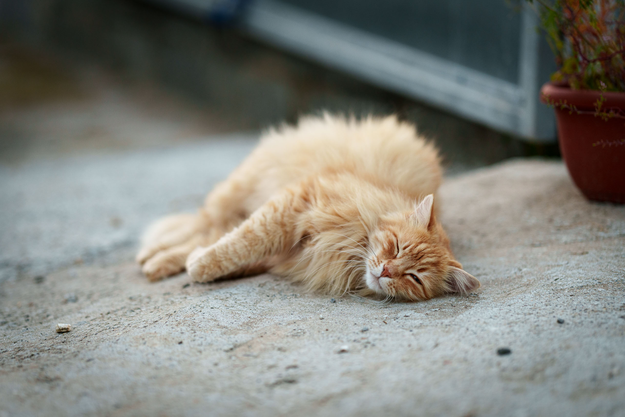 Ich habe dich im Blick...