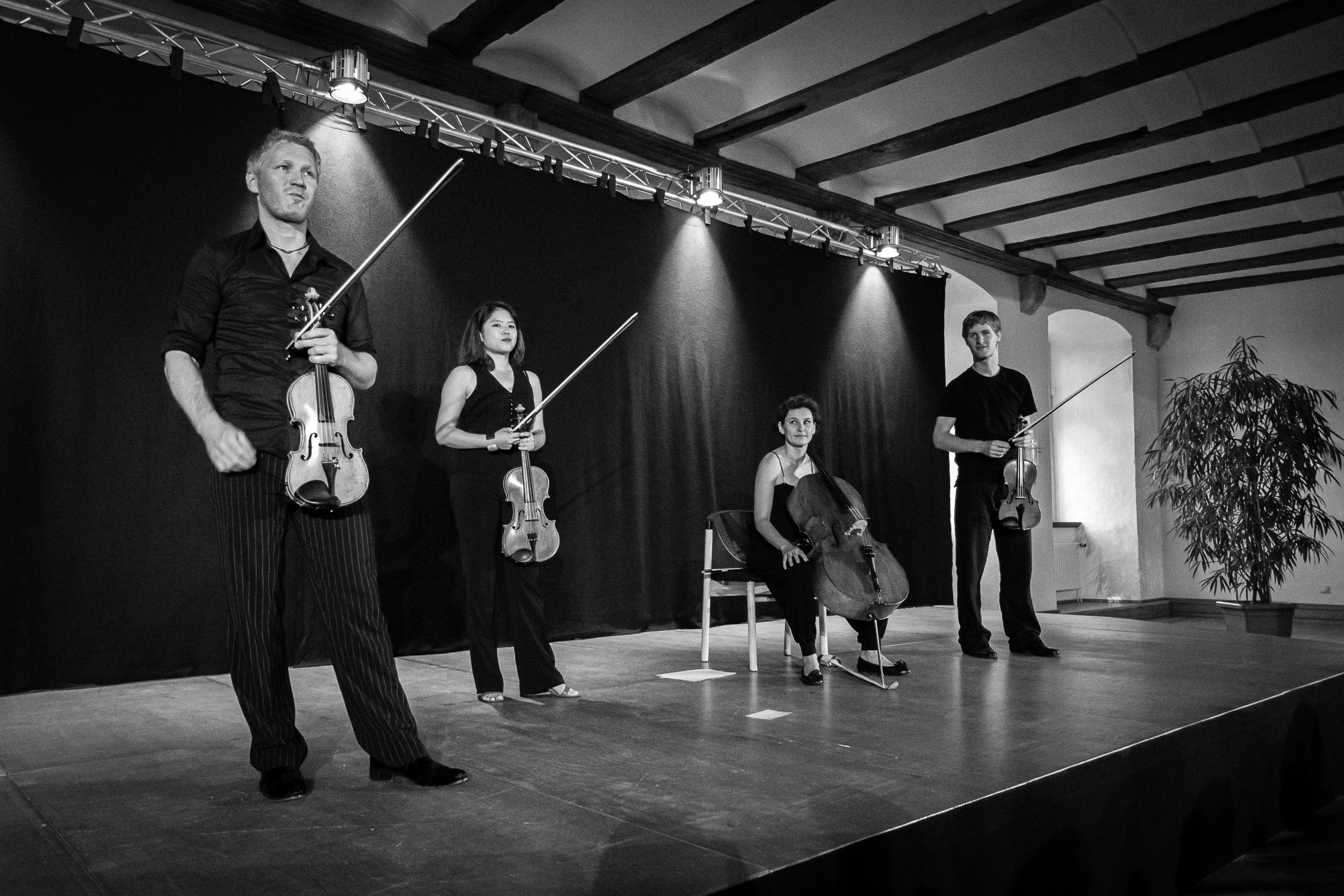 Radio.String.Quartet.Vienna | 2009