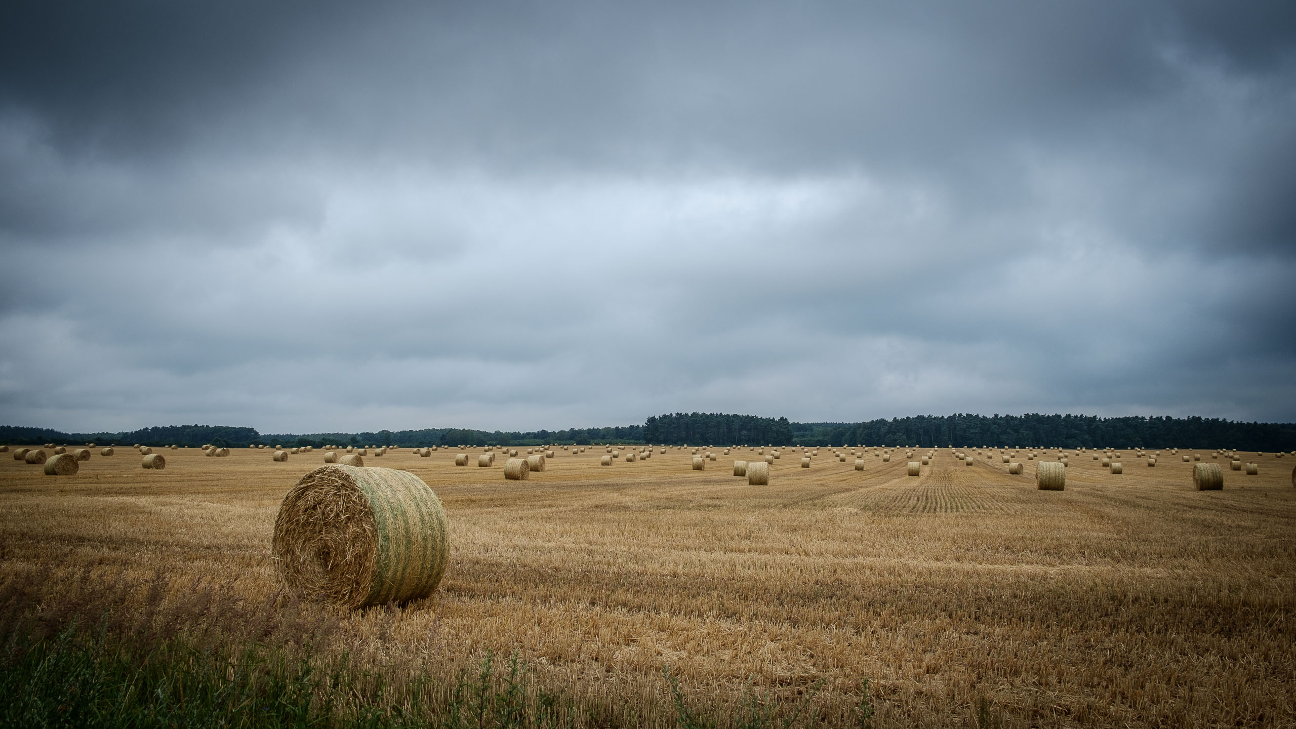 Dienstag, 08.07.2014