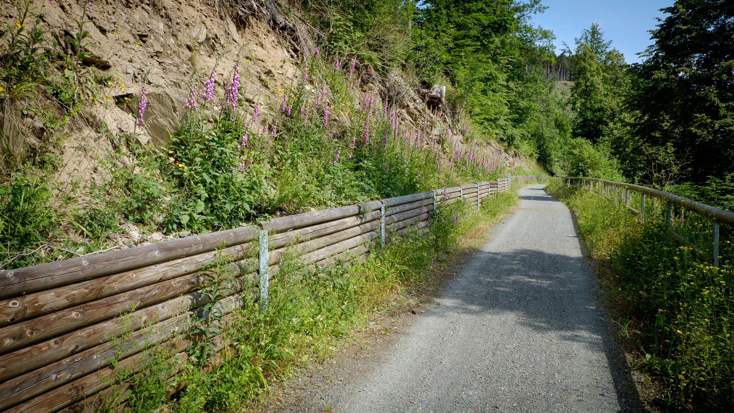 Dienstag, 16.06.2015