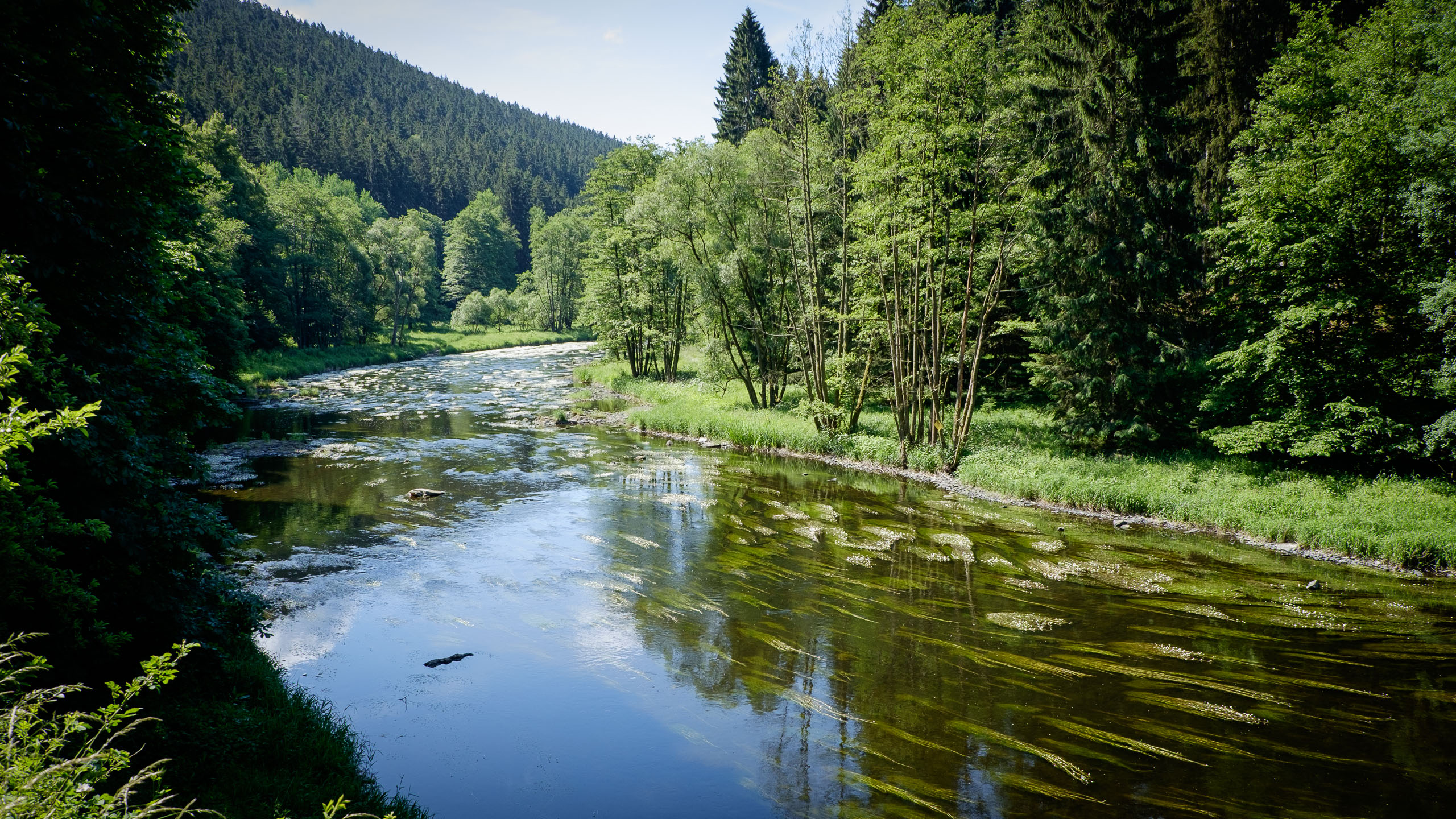 Dienstag, 16.06.2015