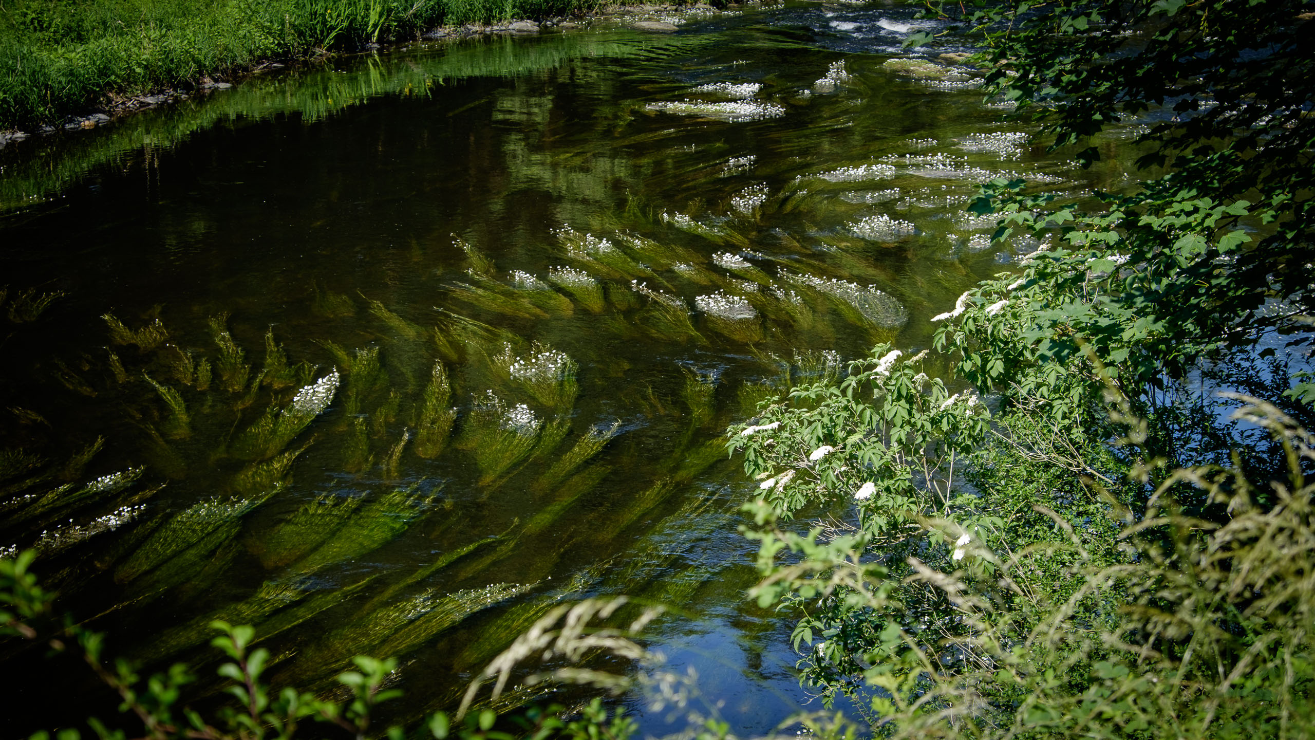 Dienstag, 16.06.2015
