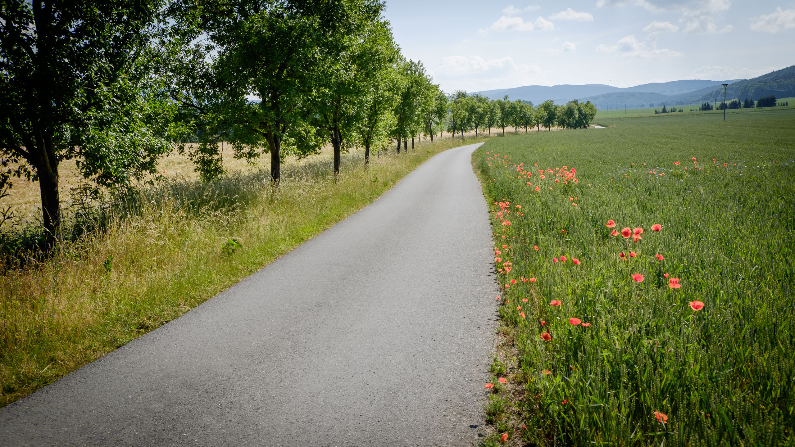 Mittwoch, 17.06.2015