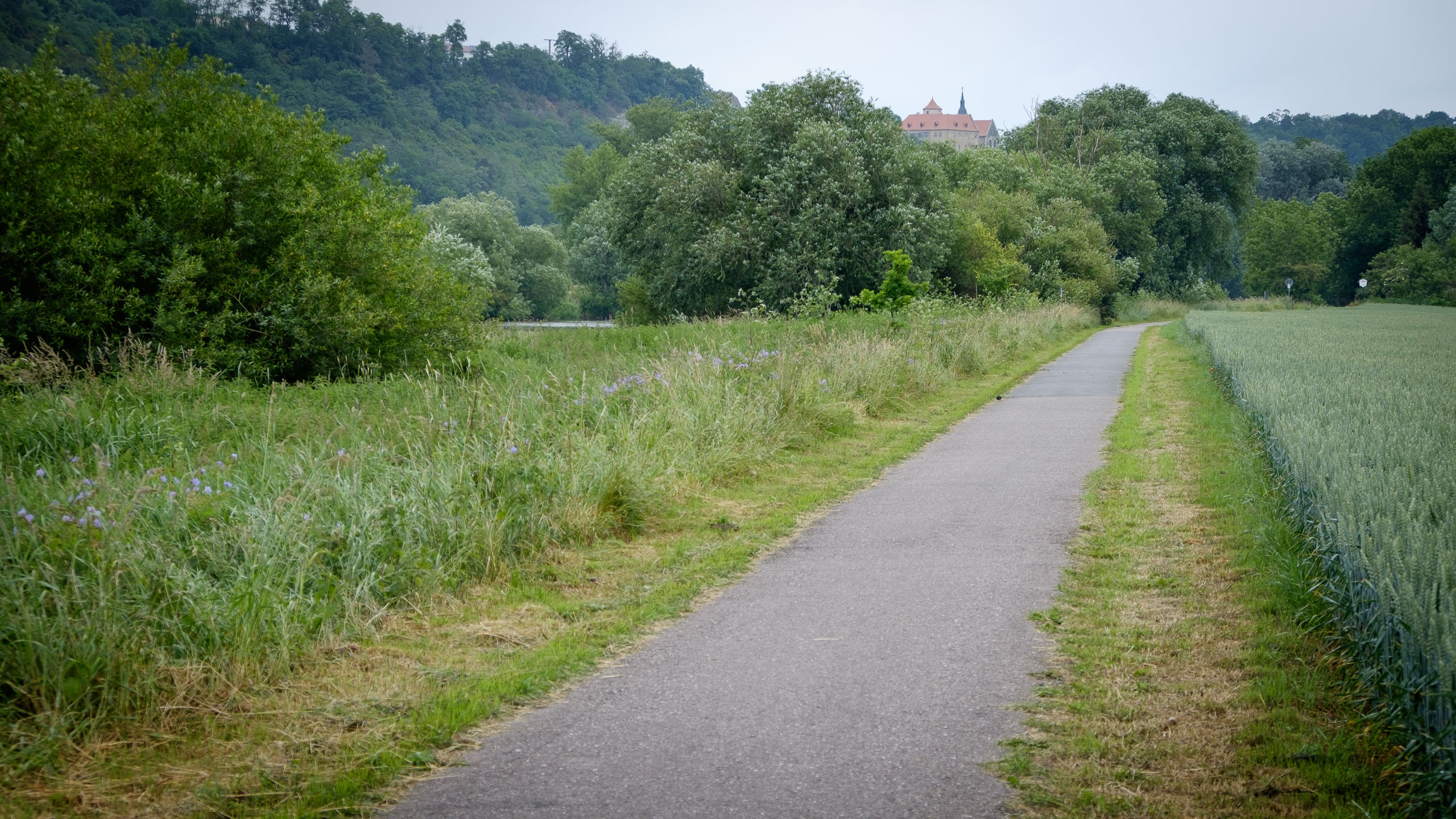 Donnerstag, 18.06.2015