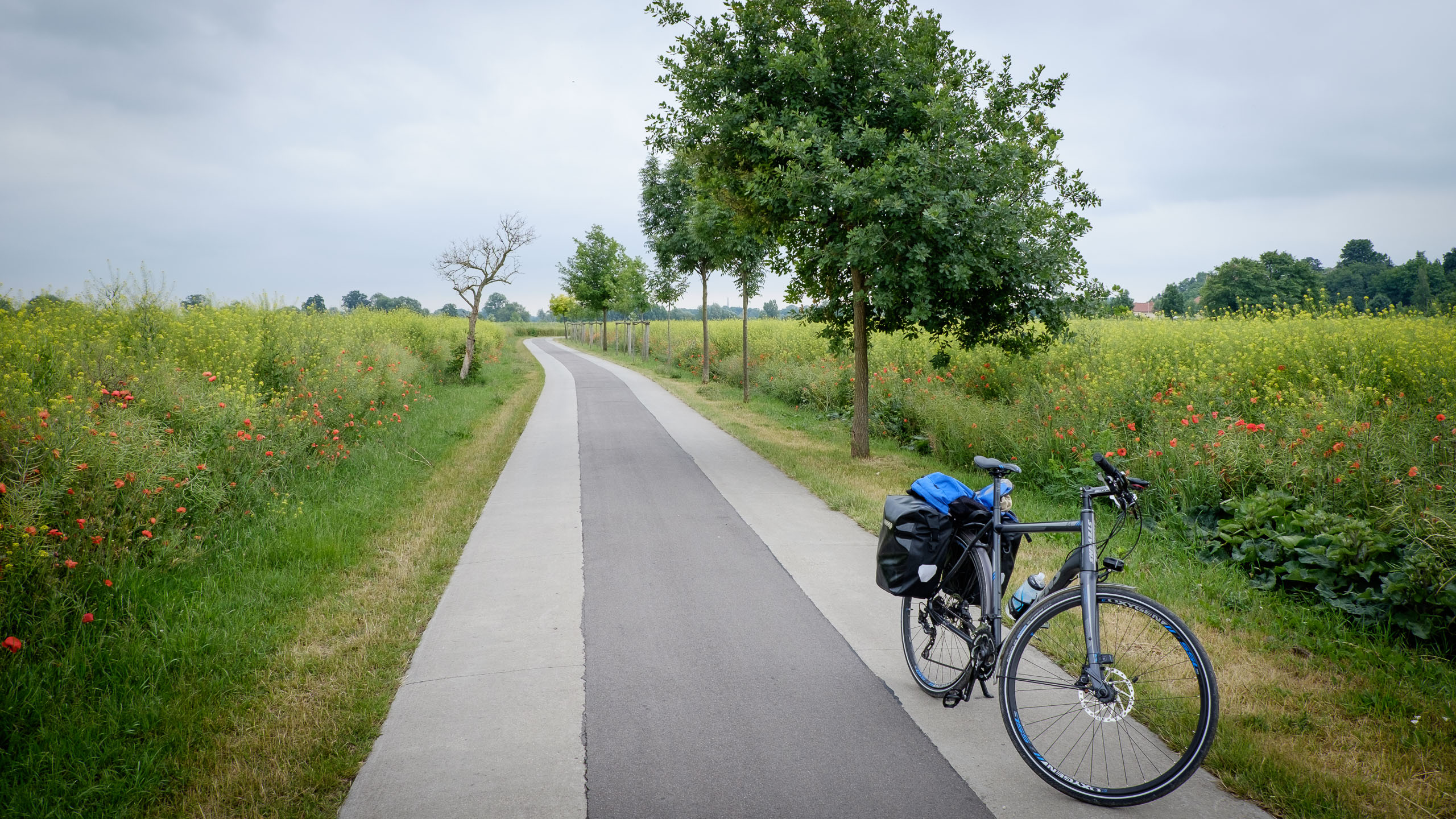 Donnerstag, 18.06.2015
