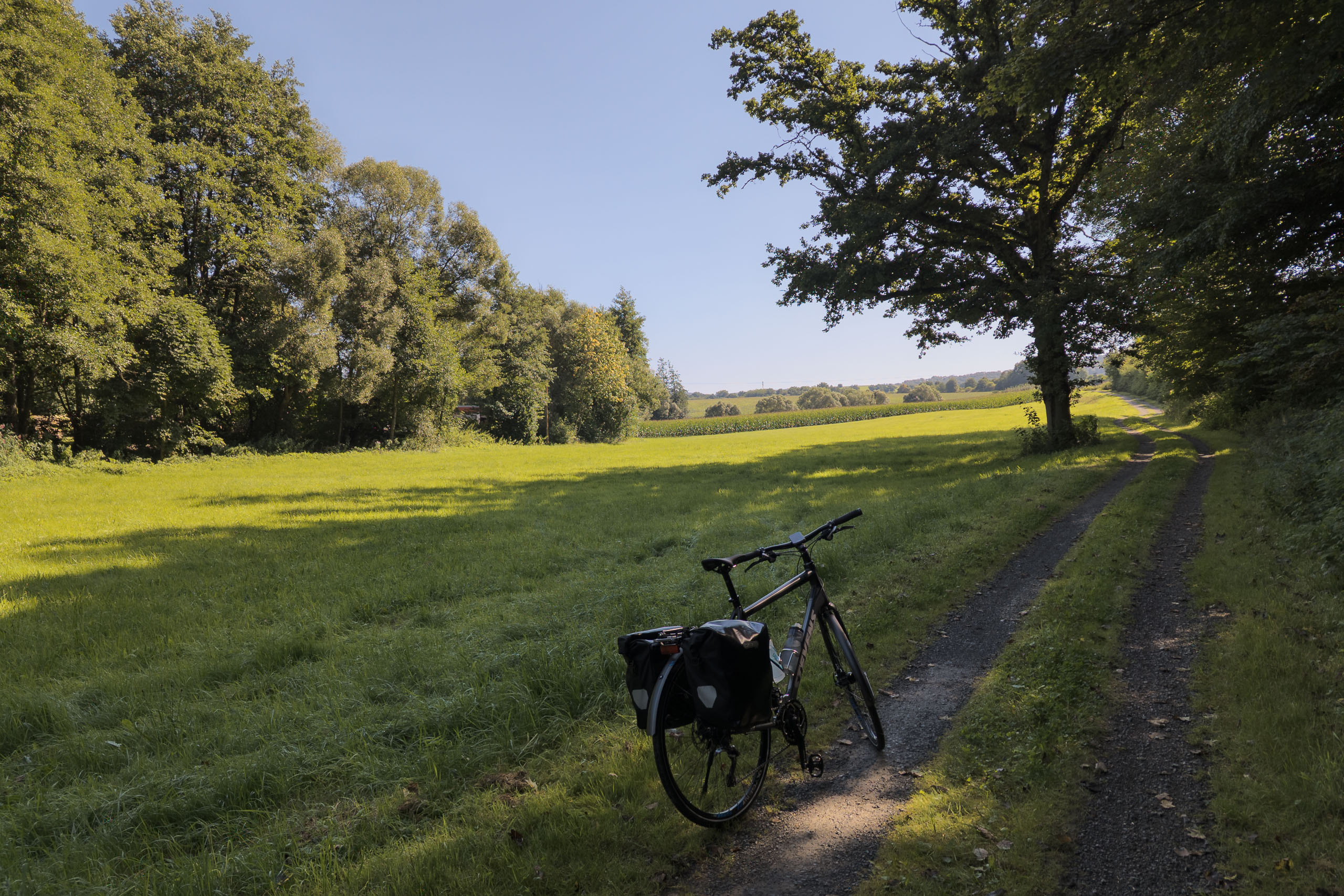 Dienstag, 12.08.2025